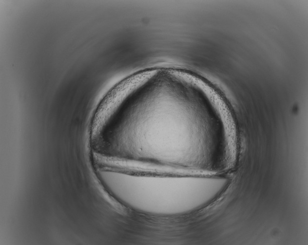 X0000094191375200711241606