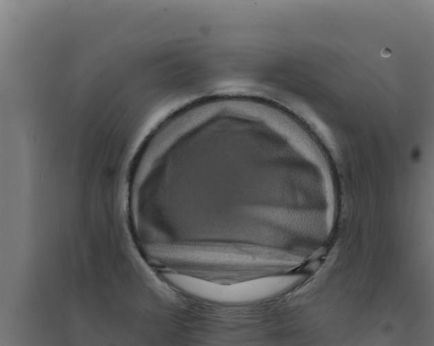 X0000094191376200711241606