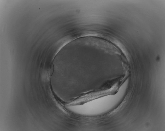 X0000094191377200711241606