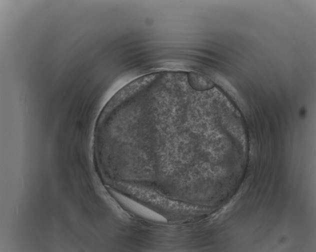 X0000094191378200711241606