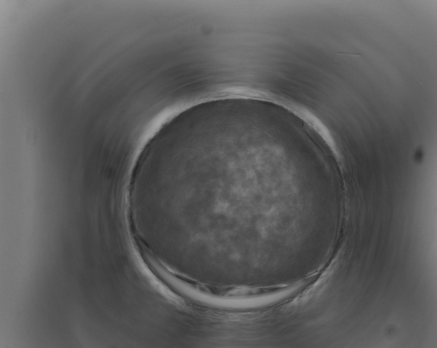 X0000094191381200711241606