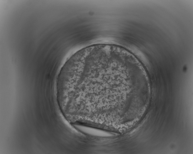 X0000094191382200711241606