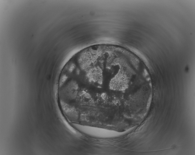 X0000094191383200711241606