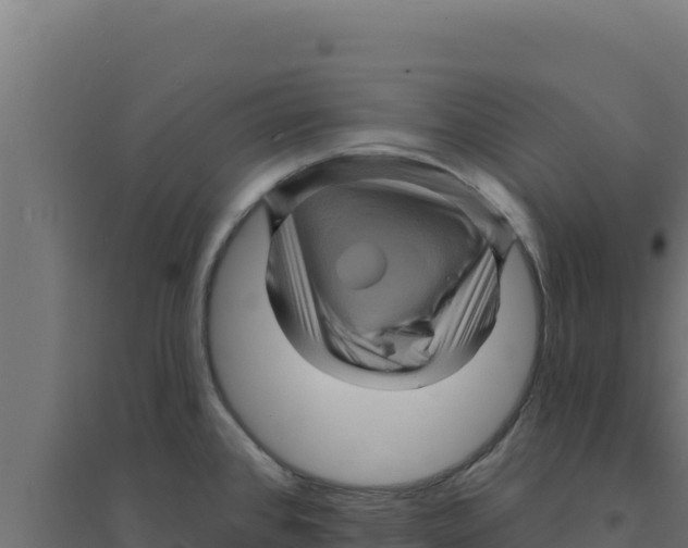 X0000094191384200711241606