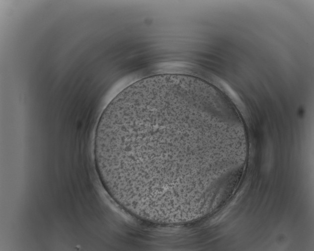 X0000094191386200711241606