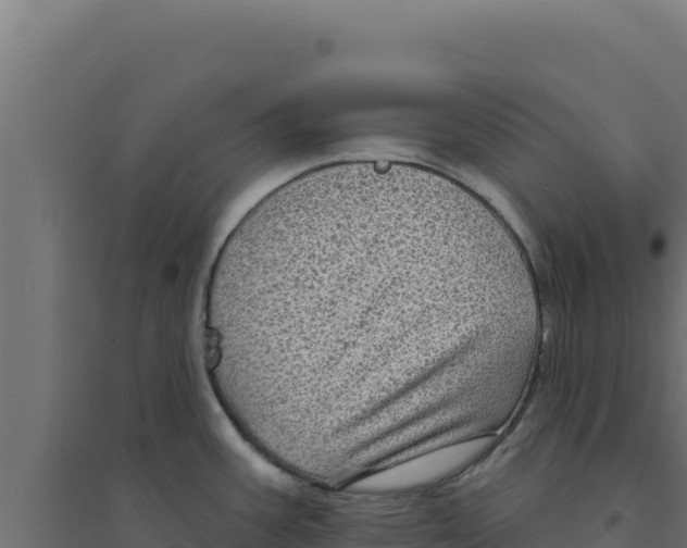 X0000094191387200711241606