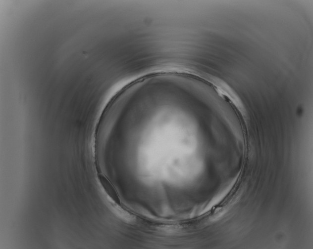 X0000094191388200711241606