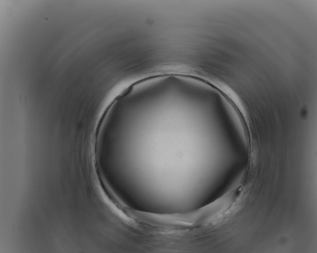 X0000094191389200711241606