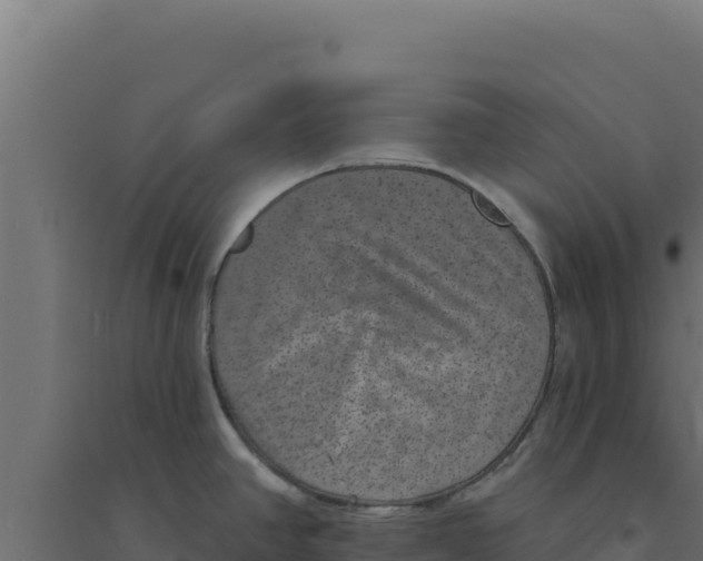 X0000094191390200711241605