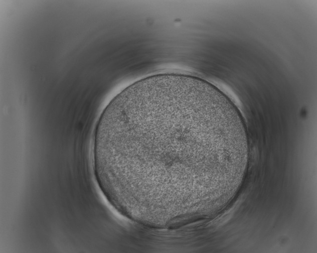 X0000094191391200711241605