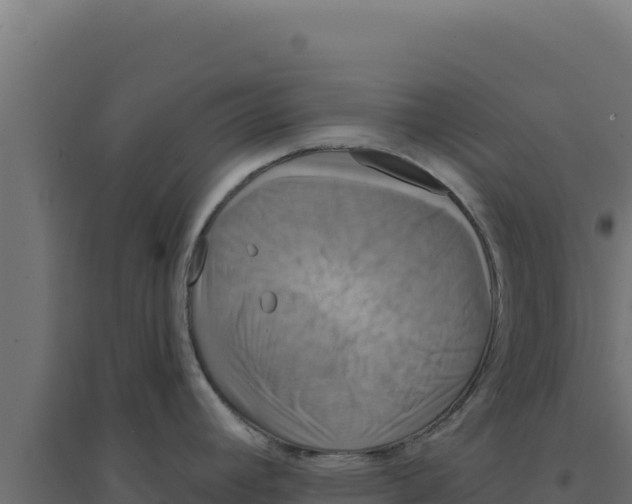 X0000094191392200711241605