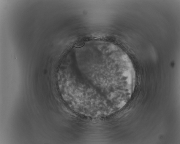 X0000094191393200711241605