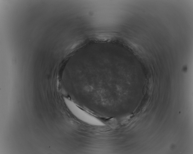 X0000094191394200711241605