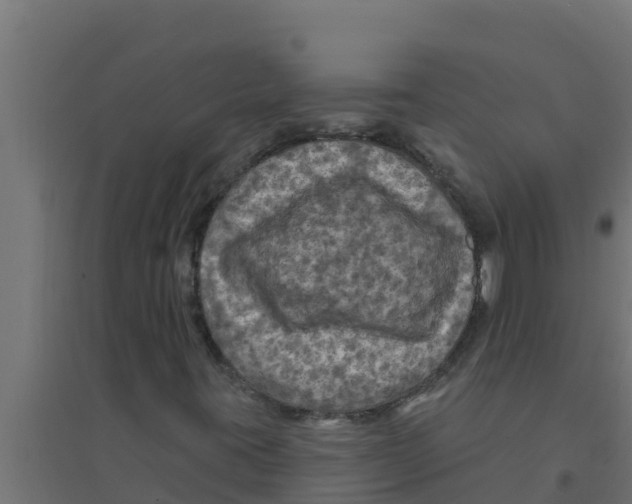 X0000094191395200711241605