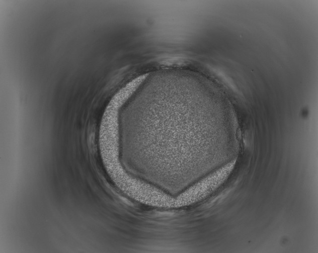 X0000094191396200711241605