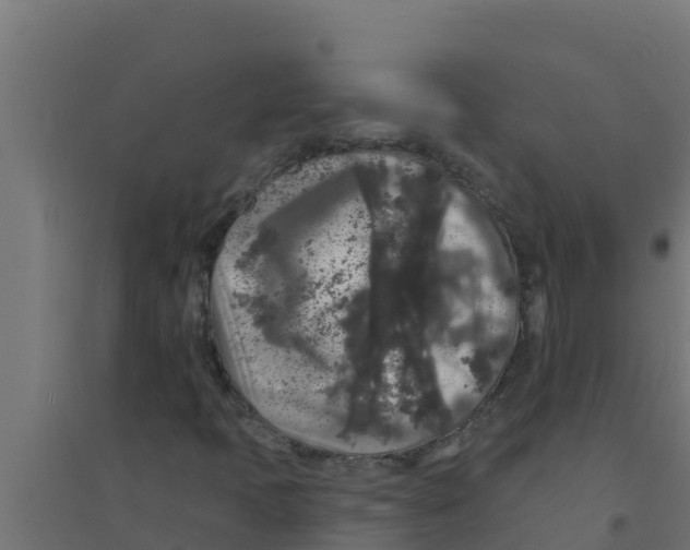 X0000094191397200711241605