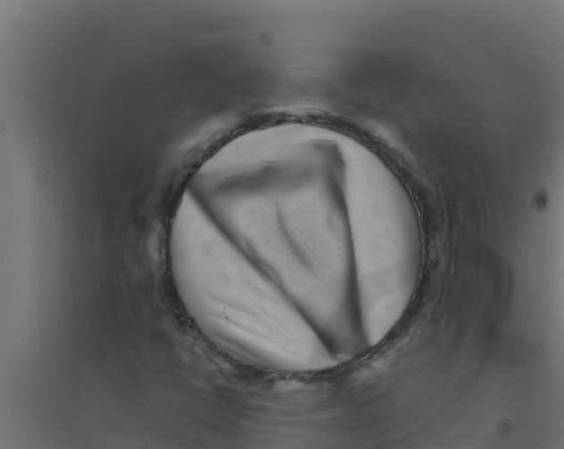 X0000094191398200711241605