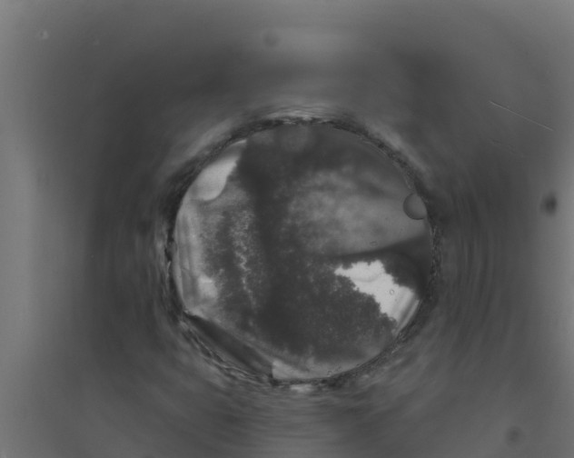 X0000094191399200711241605