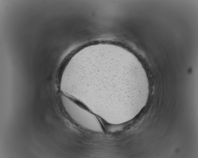 X0000094191400200711241605