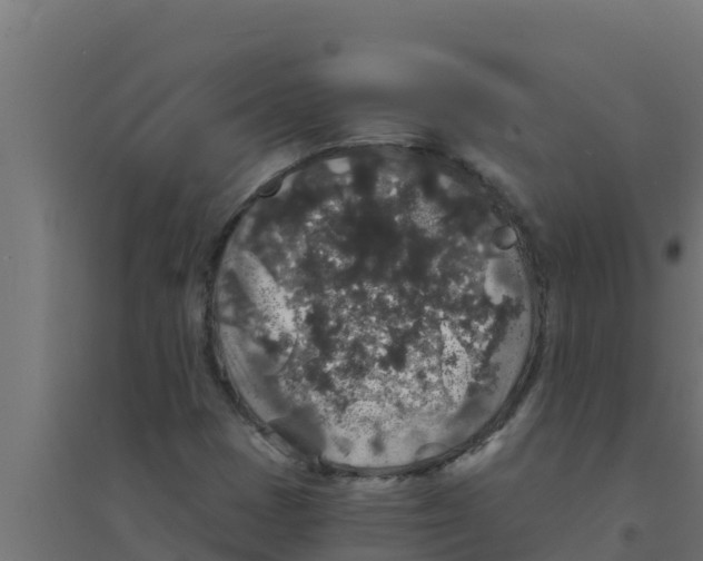 X0000094191401200711241605