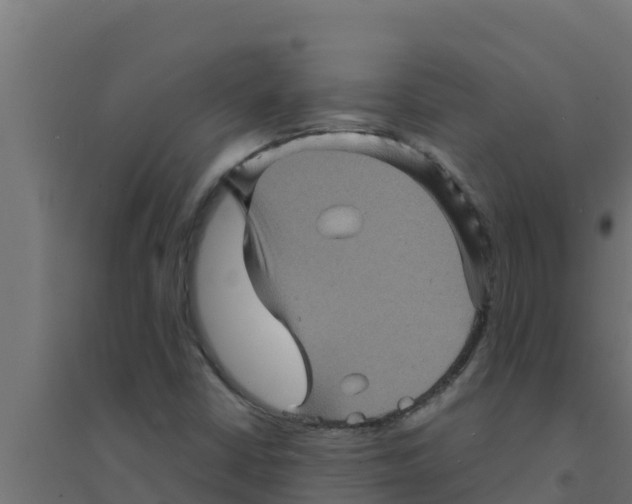 X0000094191402200711241605