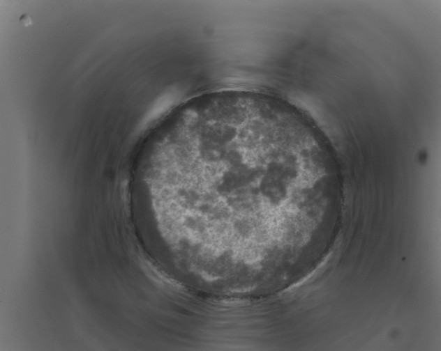 X0000094191403200711241605