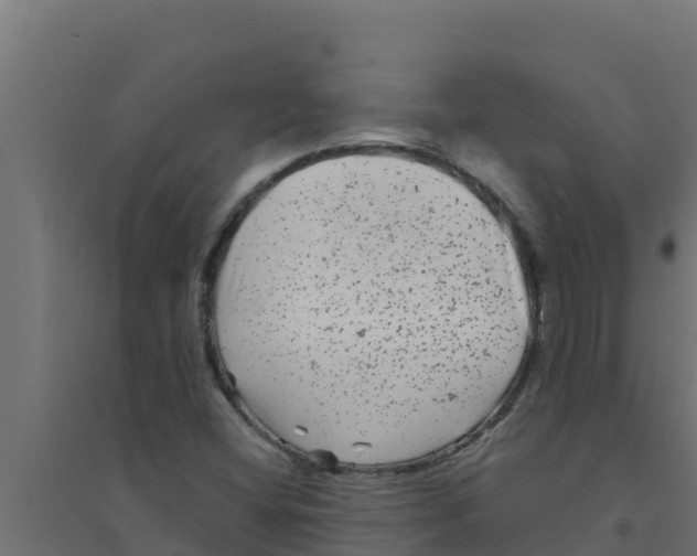 X0000094191404200711241605