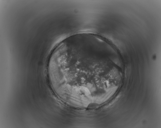 X0000094191405200711241605