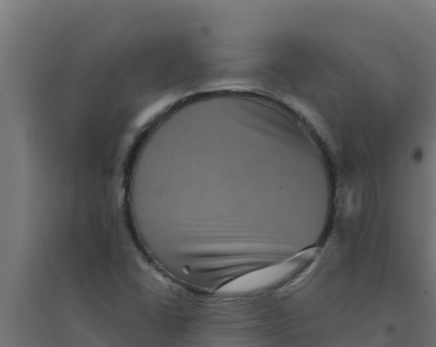 X0000094191406200711241605