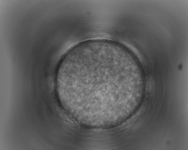 X0000094191407200711241605