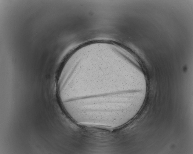 X0000094191408200711241605