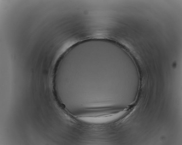 X0000094191410200711241605