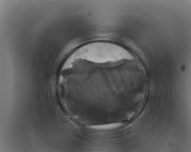 X0000094191411200711241605