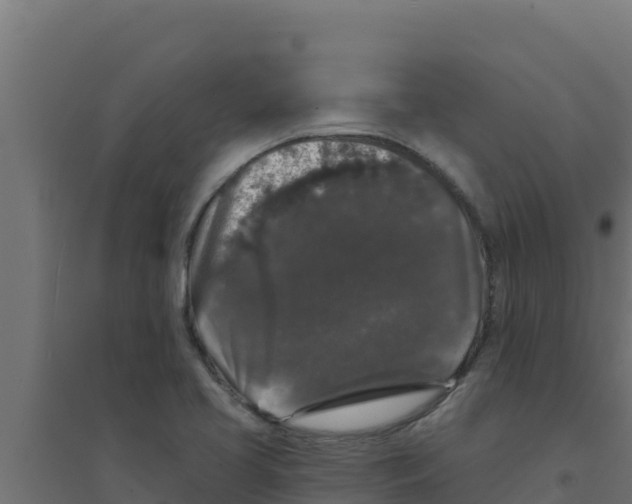 X0000094191413200711241605