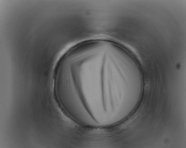 X0000094191414200711241605