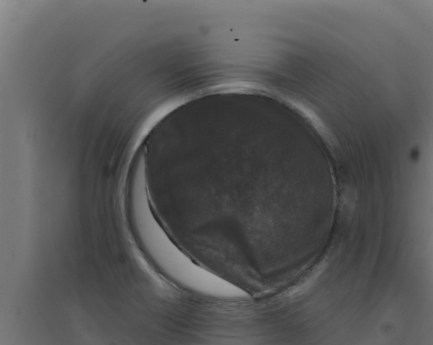 X0000094191418200711241605