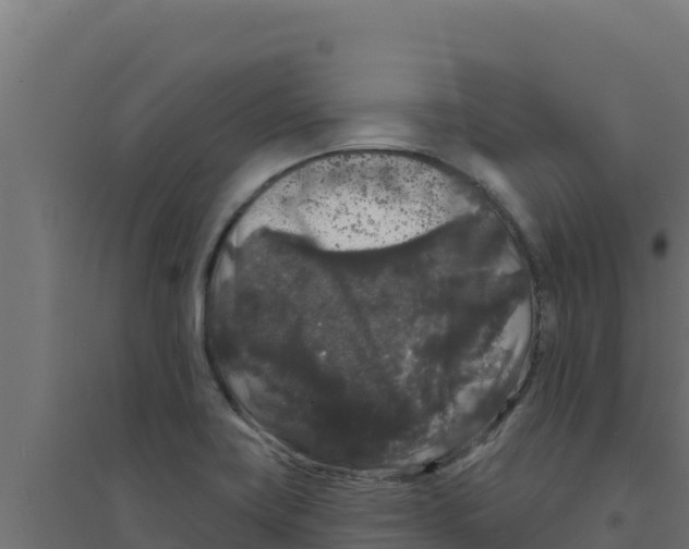 X0000094191419200711241605