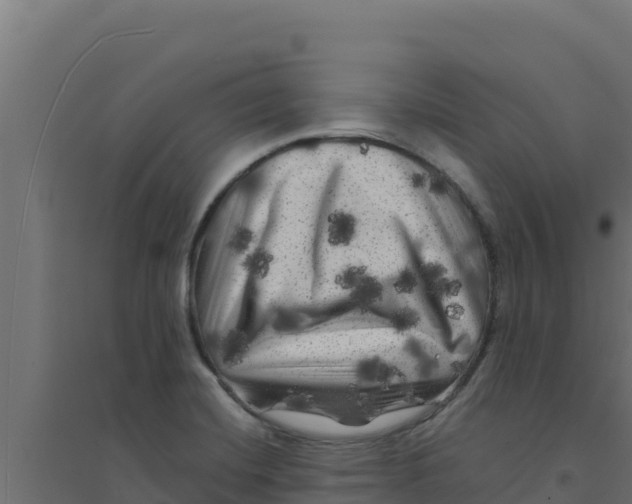 X0000094191420200711241605