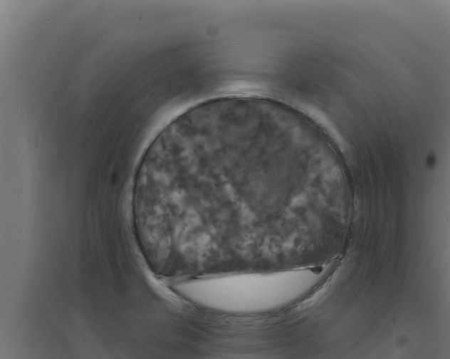 X0000094191421200711241605