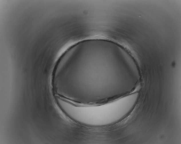 X0000094191422200711241605