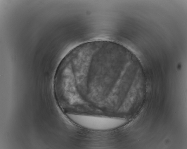 X0000094191423200711241605