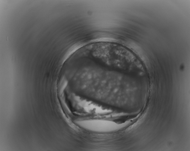 X0000094191425200711241605