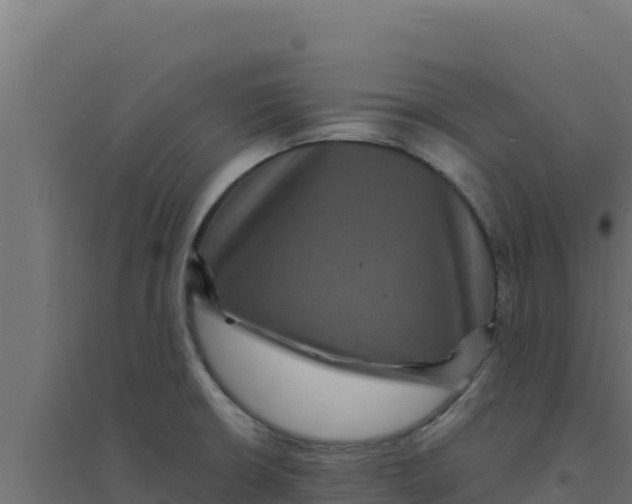 X0000094191426200711241605