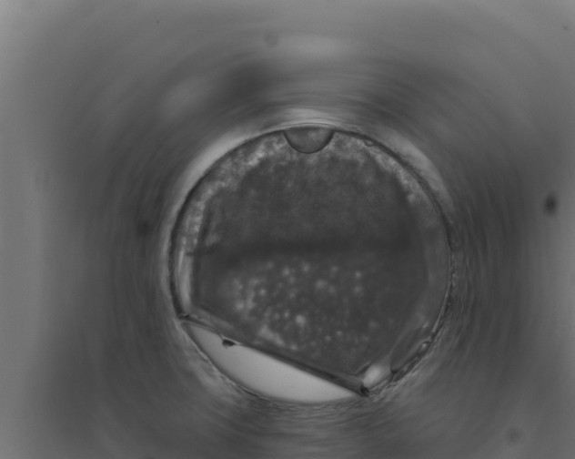 X0000094191427200711241605