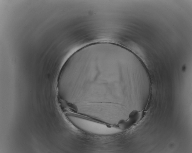 X0000094191428200711241605