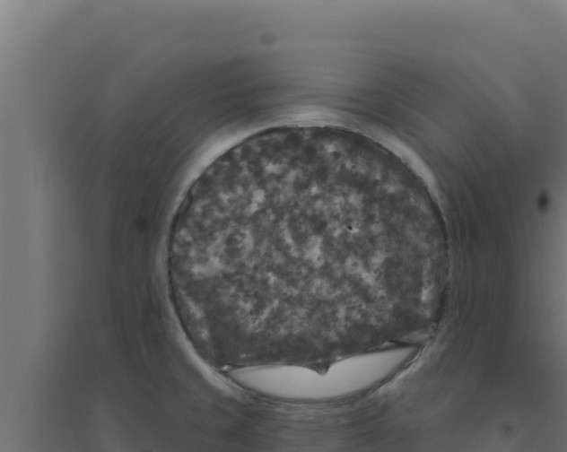 X0000094191429200711241605