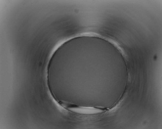 X0000094191430200711241605