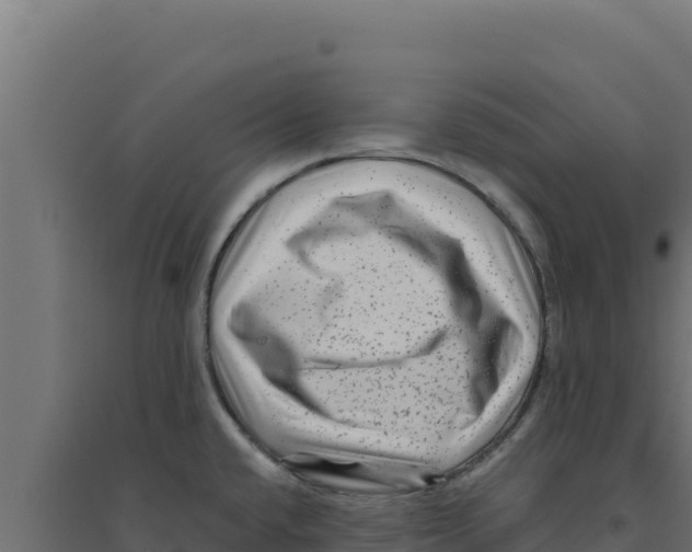 X0000094191432200711241605