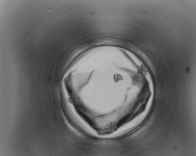 X0000094191433200711241605
