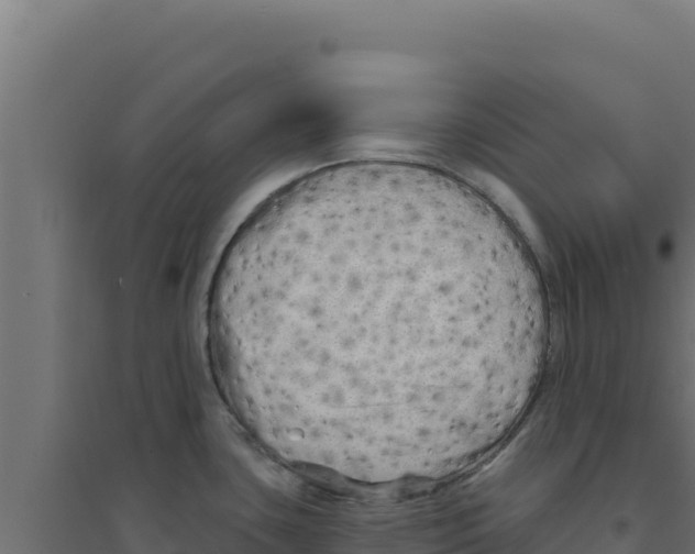 X0000094191435200711241605